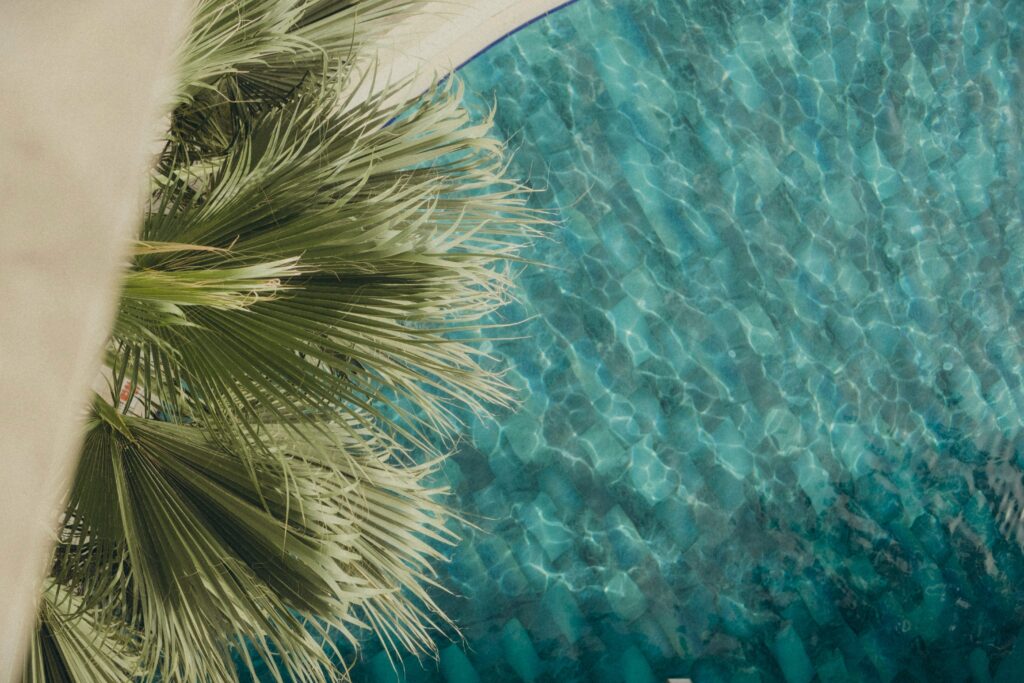 katya-azimova-rcXU_2kTXQE-unsplash